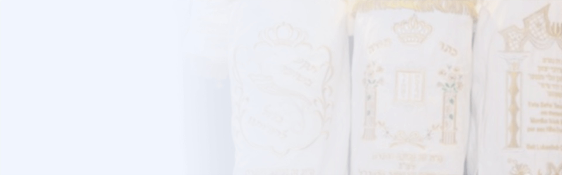 shul torah online solutions